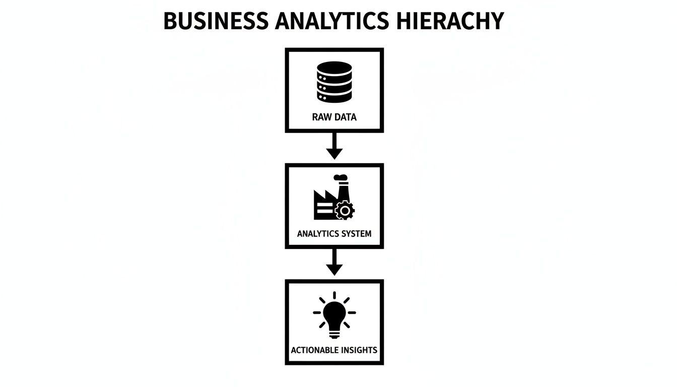 Business analytics hierarchy showing raw data feeding into an analytics system to produce actionable insights.