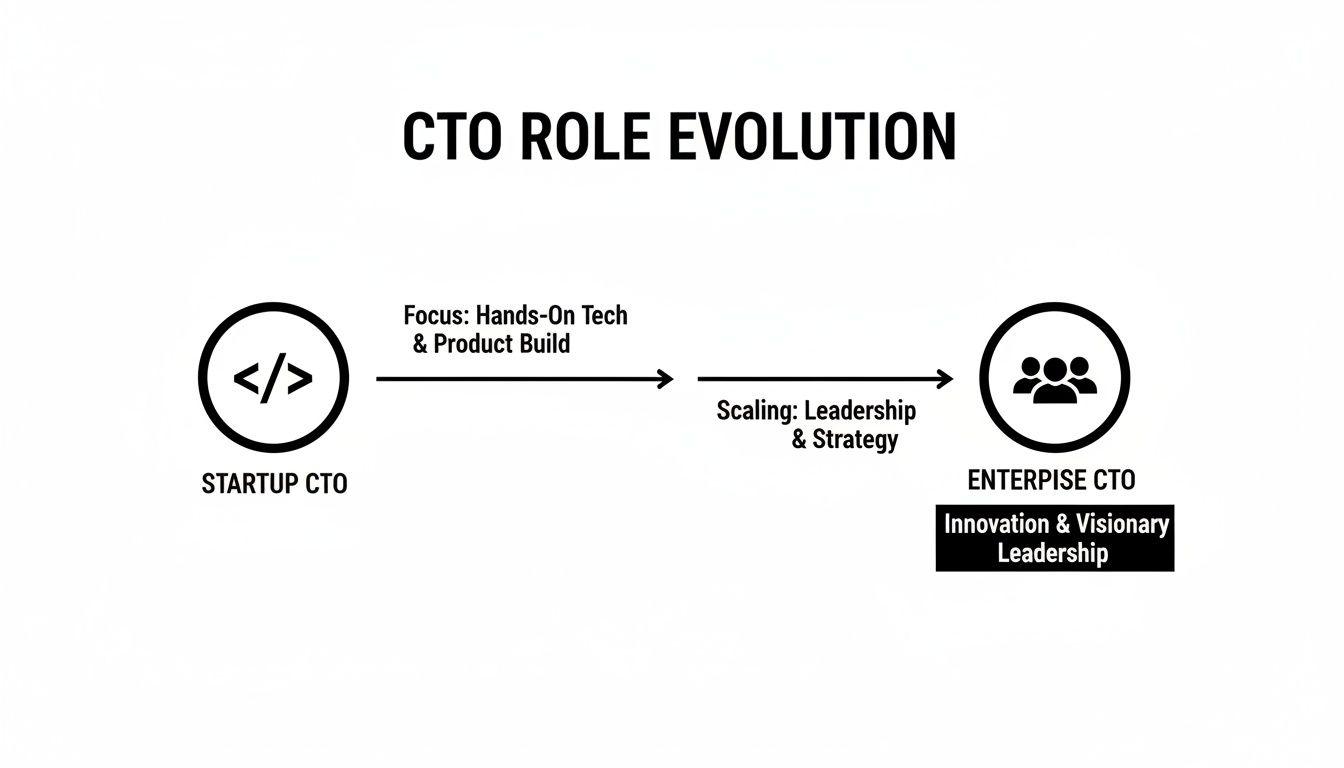 Diagram illustrating the CTO role evolution from hands-on startup to strategic enterprise leadership.