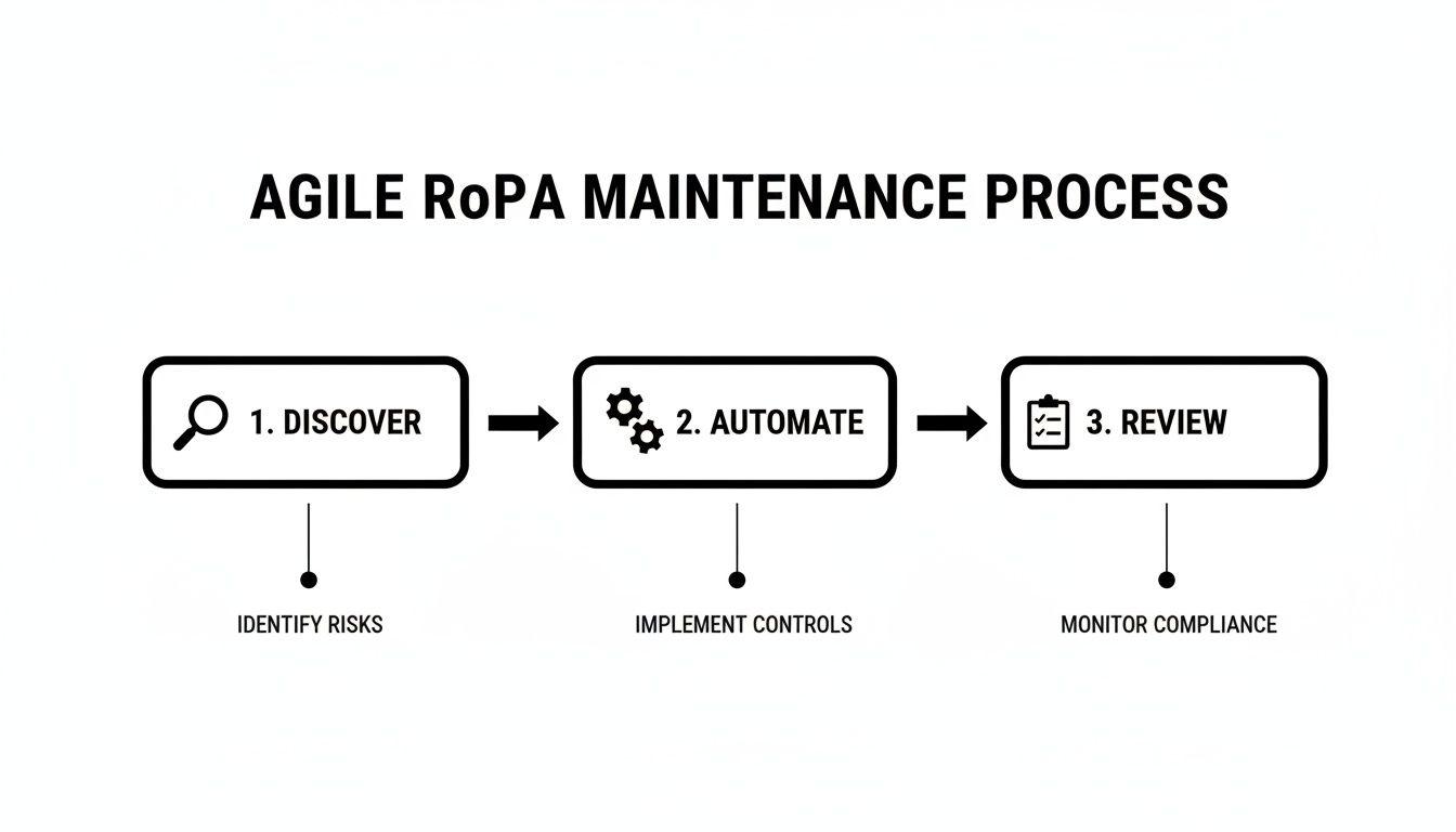 Un diagramma di flusso che illustra il processo di manutenzione Agile della RoPA con tre passaggi chiave: Scoprire, Automatizzare e Revisionare.