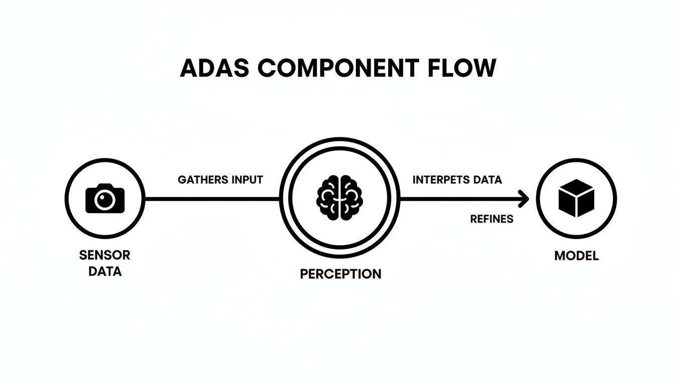 Flowchart showing ADAS components: sensor data, perception, and model, with data gathering and interpretation.