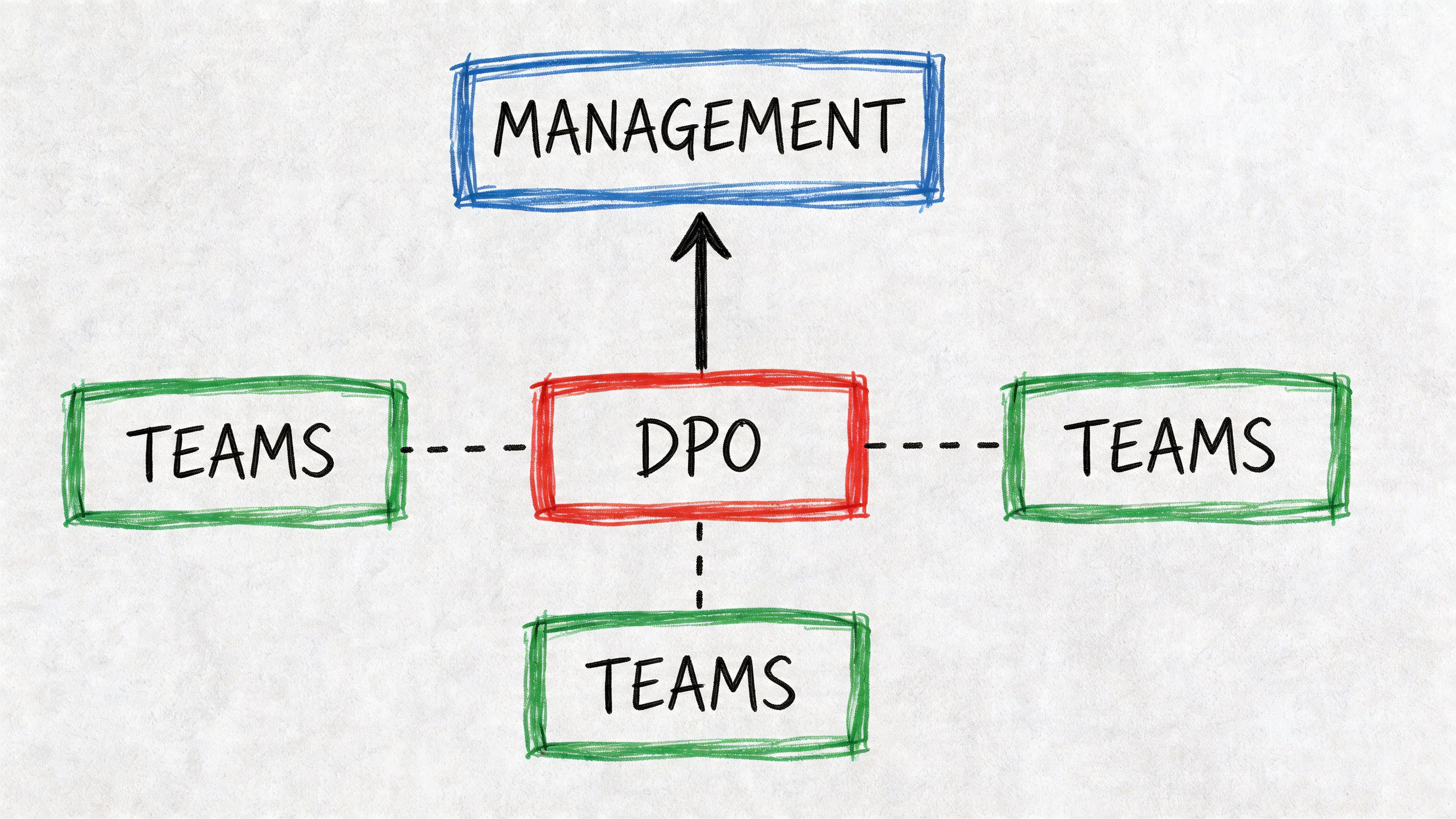 Un diagramma che illustra la posizione del DPO, mostrando la sua relazione di reporting con il management e la collaborazione con vari team.